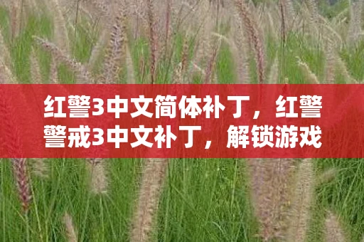 红警3中文简体补丁，红警警戒3中文补丁，解锁游戏新世界的钥匙