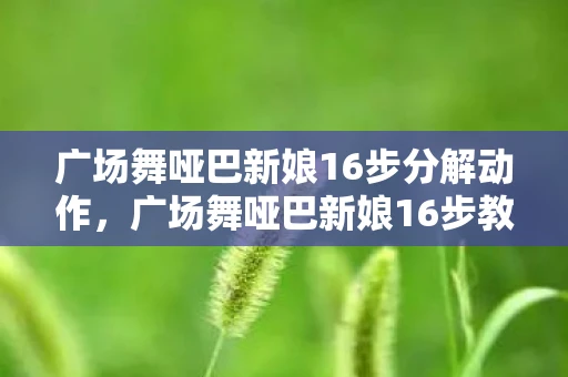 广场舞哑巴新娘16步分解动作，广场舞哑巴新娘16步教学指南