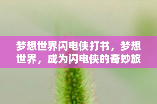 梦想世界闪电侠打书，梦想世界，成为闪电侠的奇妙旅程