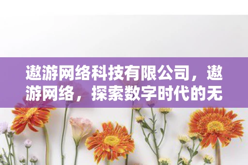 遨游网络科技有限公司,遨游网络,探索数字时代的无限可能 遨游网络科技有限公司,遨游网络,探索数字时代的无限可能