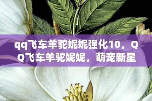 qq飞车羊驼妮妮强化10，QQ飞车羊驼妮妮，萌宠新星的竞速之旅