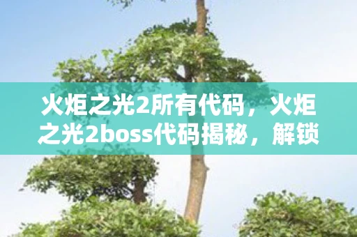火炬之光2所有代码，火炬之光2boss代码揭秘，解锁隐藏BOSS的秘籍