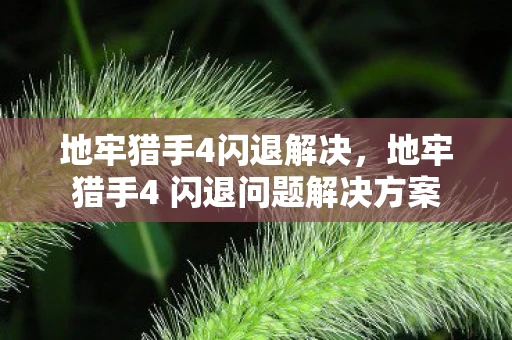地牢猎手4闪退解决，地牢猎手4 闪退问题解决方案