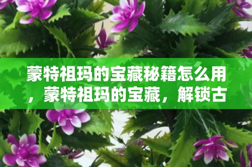 蒙特祖玛的宝藏秘籍怎么用，蒙特祖玛的宝藏，解锁古老文明的秘密