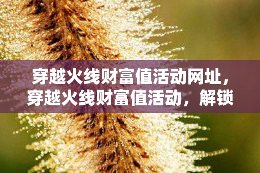 穿越火线财富值活动网址，穿越火线财富值活动，解锁财富，赢取丰厚奖励！