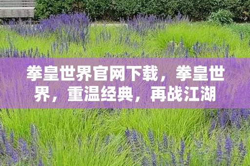 拳皇世界官网下载，拳皇世界，重温经典，再战江湖