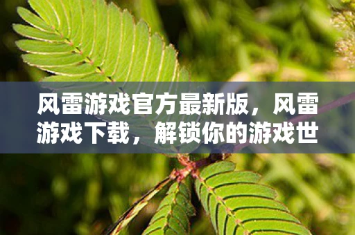 风雷游戏官方最新版，风雷游戏下载，解锁你的游戏世界新篇章