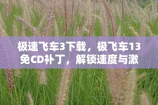 极速飞车3下载，极飞车13免CD补丁，解锁速度与激情的钥匙