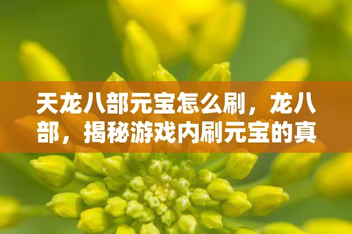 天龙八部元宝怎么刷，龙八部，揭秘游戏内刷元宝的真相与风险