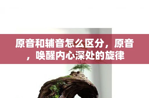 原音和辅音怎么区分,原音,唤醒内心深处的旋律 原音和辅音怎么区分,原音,唤醒内心深处的旋律