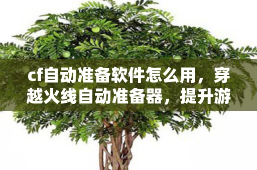 cf自动准备软件怎么用，穿越火线自动准备器，提升游戏效率与体验的创新工具