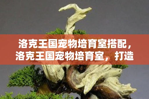 洛克王国宠物培育室搭配，洛克王国宠物培育室，打造你的专属宠物军团