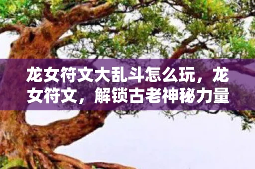 龙女符文大乱斗怎么玩，龙女符文，解锁古老神秘力量的钥匙