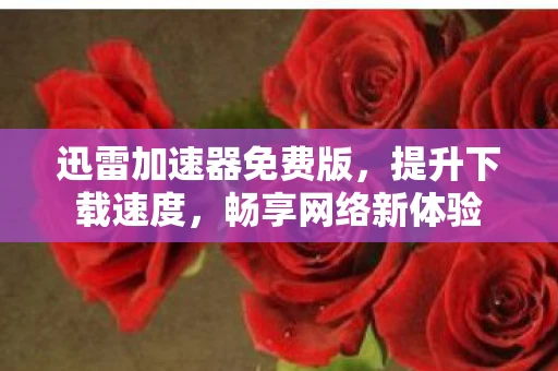 迅雷加速器免费版,提升下载速度,畅享网络新体验 迅雷加速器免费版,提升下载速度,畅享网络新体验