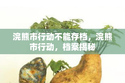 浣熊市行动不能存档，浣熊市行动，档案揭秘