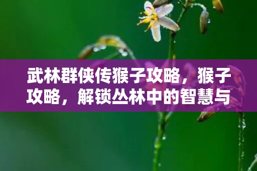 武林群侠传猴子攻略,猴子攻略,解锁丛林中的智慧与乐趣 武林群侠传猴子攻略,猴子攻略,解锁丛林中的智慧与乐趣