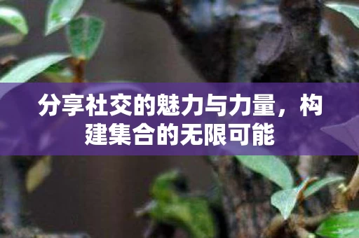分享社交的魅力与力量图片