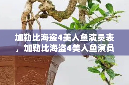 加勒比海盗4美人鱼演员表，加勒比海盗4美人鱼演员揭秘，神秘与美丽的完美结合