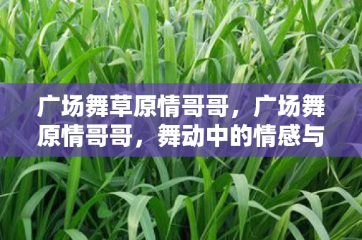 广场舞草原情哥哥,广场舞原情哥哥,舞动中的情感与传承 广场舞草原情哥哥,广场舞原情哥哥,舞动中的情感与传承