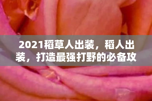 2021稻草人出装，稻人出装，打造最强打野的必备攻略