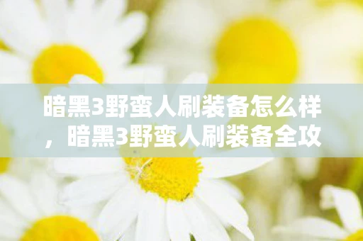 暗黑3野蛮人刷装备怎么样，暗黑3野蛮人刷装备全攻略，打造最强战斗机器