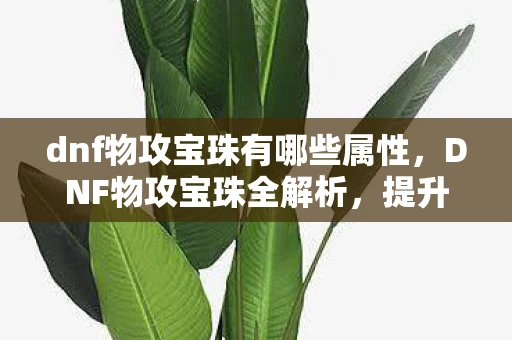 dnf物攻宝珠有哪些属性，DNF物攻宝珠全解析，提升战斗力的必备神器