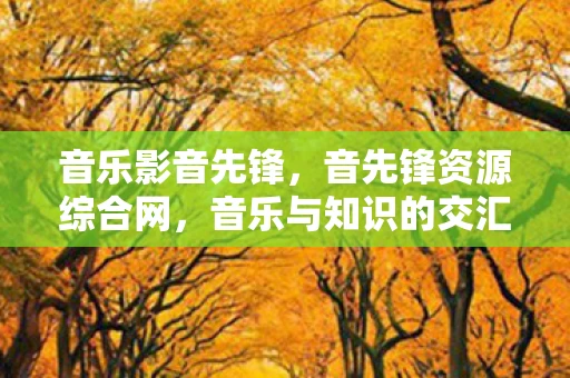 音乐影音先锋，音先锋资源综合网，音乐与知识的交汇点