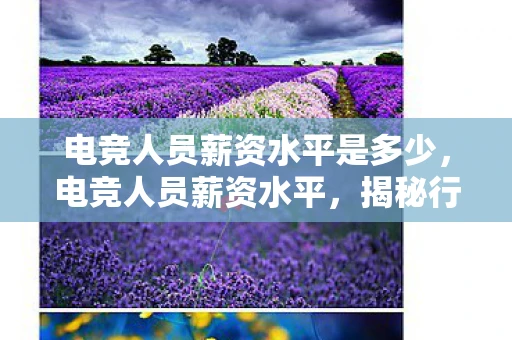 电竞人员薪资水平是多少，电竞人员薪资水平，揭秘行业内的收入真相