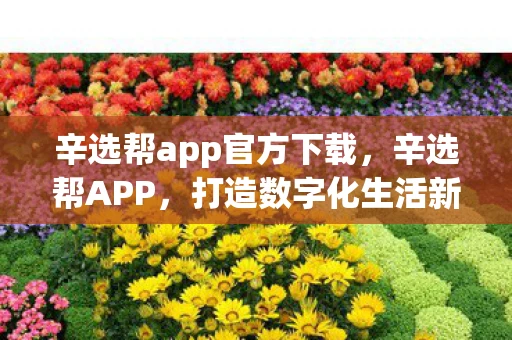 辛选帮app官方下载，辛选帮APP，打造数字化生活新体验