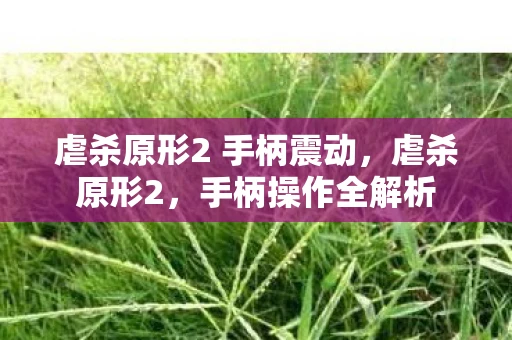 虐杀原形2 手柄震动,虐杀原形2,手柄操作全解析 虐杀原形2 手柄震动,虐杀原形2,手柄操作全解析