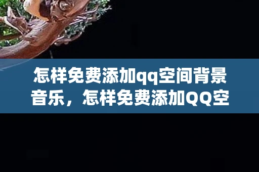 怎样免费添加qq空间背景音乐，怎样免费添加QQ空间背景音