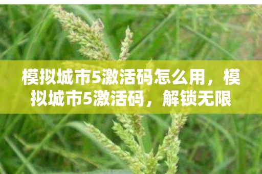 模拟城市5激活码怎么用，模拟城市5激活码，解锁无限可能的城市建设之旅