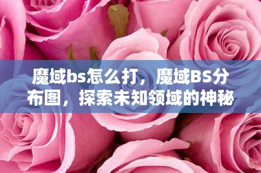 魔域bs怎么打，魔域BS分布图，探索未知领域的神秘地图