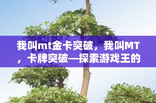 我叫mt金卡突破，我叫MT，卡牌突破—探索游戏王的世界