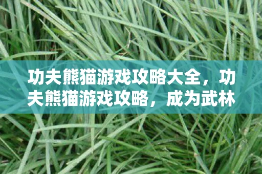 功夫熊猫游戏攻略大全，功夫熊猫游戏攻略，成为武林高手的秘诀