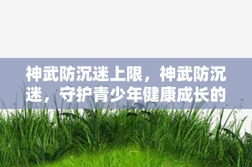 神武防沉迷上限，神武防沉迷，守护青少年健康成长的数字盾牌