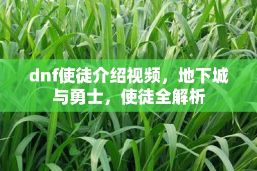 dnf使徒介绍视频，地下城与勇士，使徒全解析