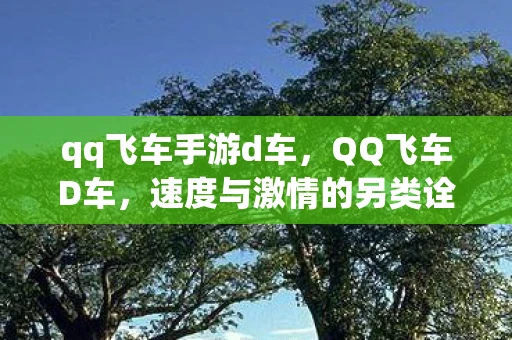 qq飞车手游d车，QQ飞车D车，速度与激情的另类诠释