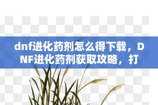 dnf进化药剂怎么得下载，DNF进化药剂获取攻略，打造强力角色的必备道具