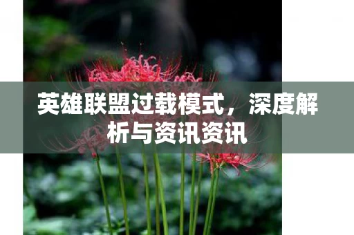深度解析与资讯资讯图片