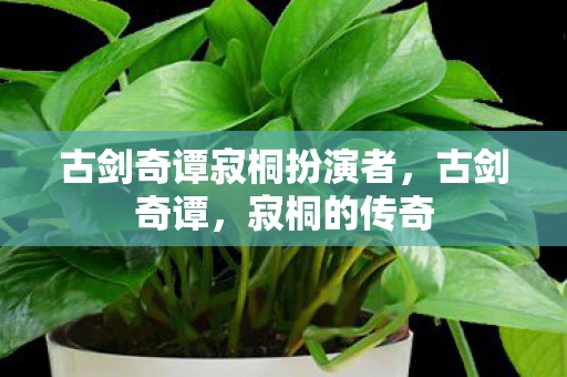 古剑奇谭寂桐扮演者，古剑奇谭，寂桐的传奇