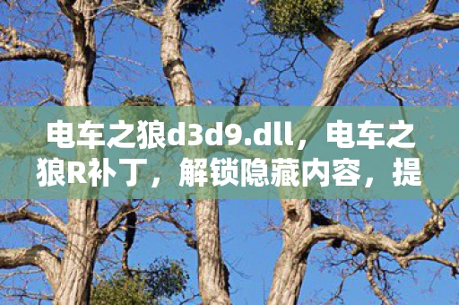 电车之狼d3d9.dll，电车之狼R补丁，解锁隐藏内容，提升游戏体验