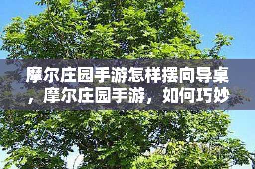 摩尔庄园手游怎样摆向导桌，摩尔庄园手游，如何巧妙摆放向导桌