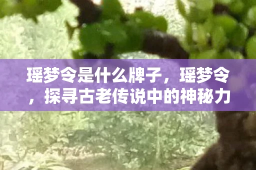 瑶梦令是什么牌子，瑶梦令，探寻古老传说中的神秘力量