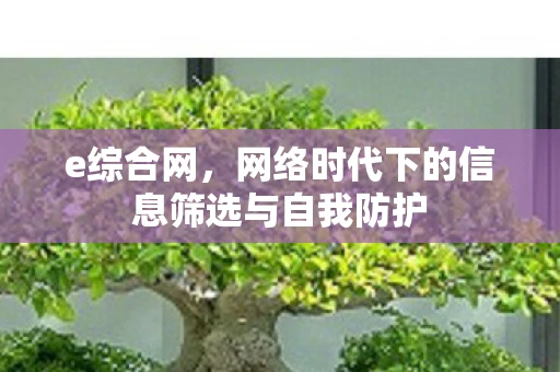 e综合网，网络时代下的信息筛选与自我防护