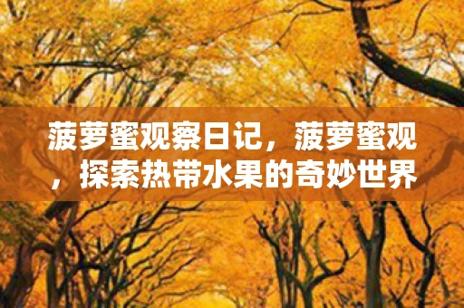 菠萝蜜观察日记，菠萝蜜观，探索热带水果的奇妙世界