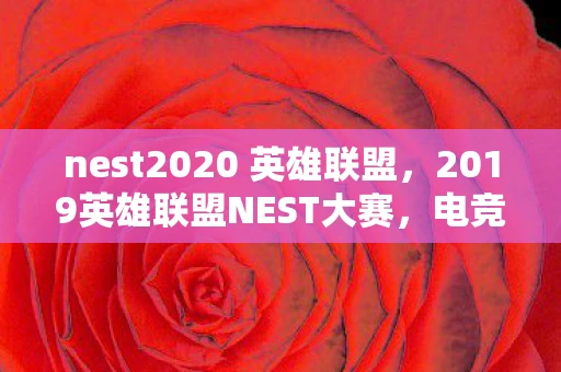 nest2020 英雄联盟，2019英雄联盟NEST大赛，电竞新星的璀璨舞台