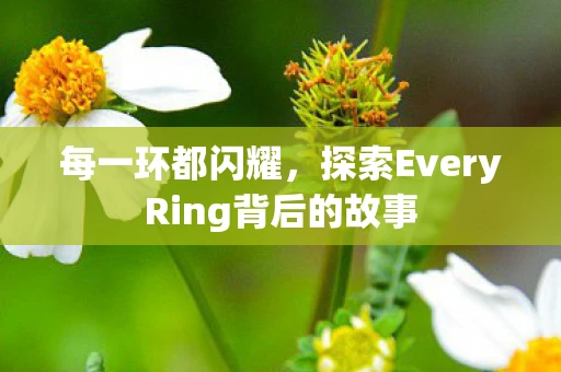 每一环都闪耀，探索EveryRing背后的故事