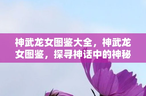 神武龙女图鉴大全，神武龙女图鉴，探寻神话中的神秘存在