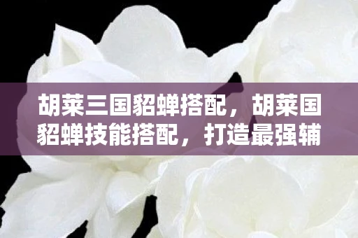 胡莱三国貂蝉搭配，胡莱国貂蝉技能搭配，打造最强辅助的攻略